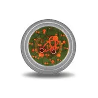2" Clear Amber Super Diode LED Marker Light
