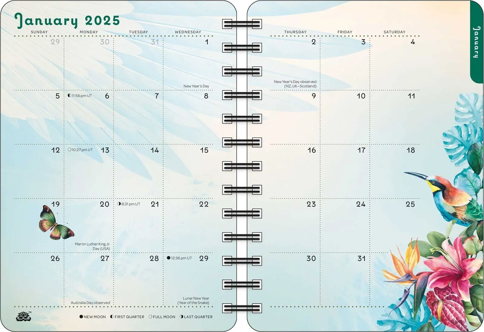 Amber Lotus For the Love of Frida 2025 Weekly Planner Calendar