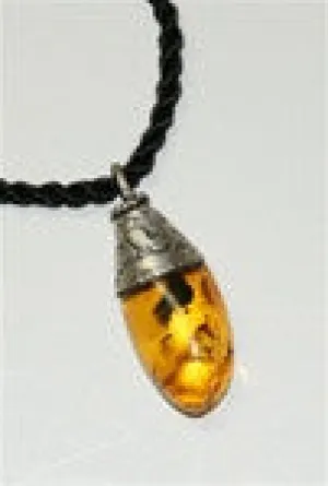 Amber Pendant on Black Cord