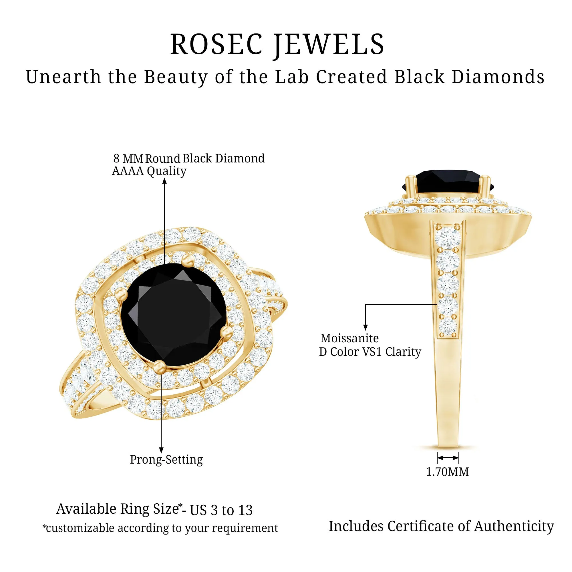Lab Grown Black Diamond Double Halo Engagement Ring With Moissanite