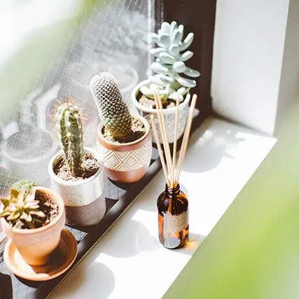 Reed Diffuser
